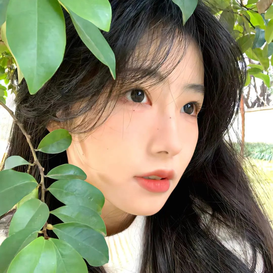 香车美人