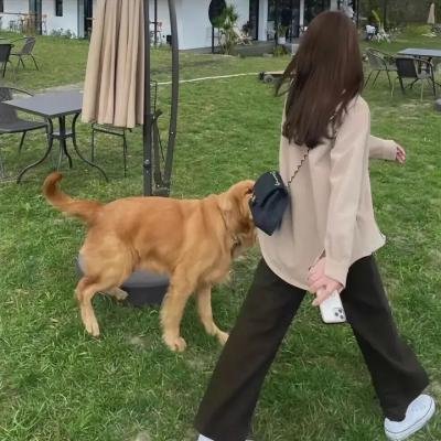 鬼公子炎魔