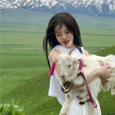 我的英雄学院:英雄新世纪